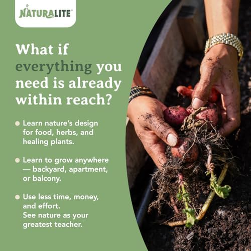 The More We Grow The More We'll See Everything We Need Is Free: A Simple Guide to Growing Free, 100% Natural Food for Life by Jabez el Israel