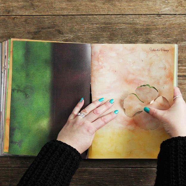 The Bouquet in a Book: Pre-punched pages to press out and make by Prudence Rogers