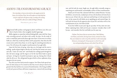 Devotions from the Garden: Finding Peace and Rest from Your Hurried Life (A 90-Day Devotional) by Miriam Drennan