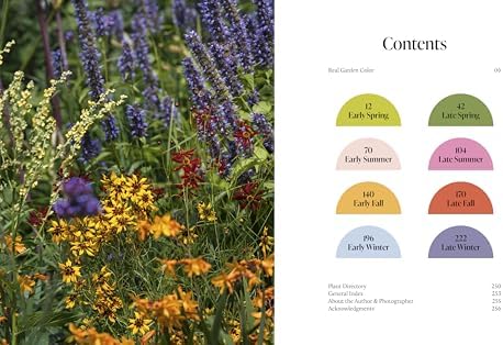 A Year of Color: How to create a bold and bright garden by Ann-Marie Powell