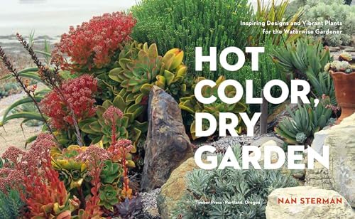 Hot Color, Dry Garden: Inspiring Designs and Vibrant Plants for the Waterwise Gardener by Nan Sterman
