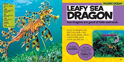National Geographic Little Kids First Big Book of the Ocean by Catherine D. Hughes