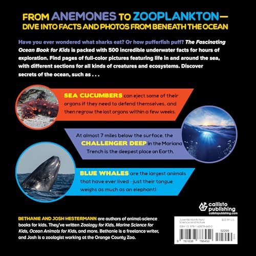 The Fascinating Ocean Book for Kids: 500 Incredible Facts! (Fascinating Facts) by Bethanie Hestermann
