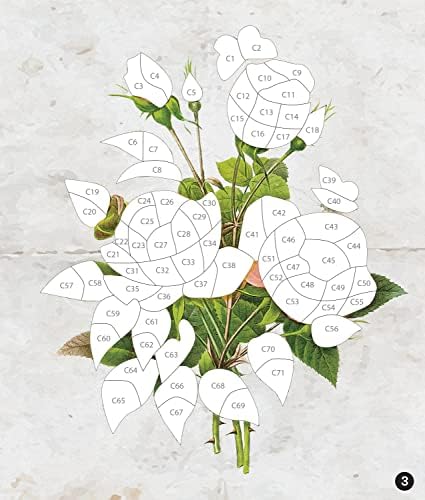 Brain Games - Sticker by Number - Vintage: Flowers (28 Images to Sticker) by Publications International Ltd.