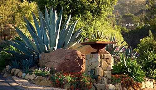 Private Gardens of Santa Barbara: The Art of Outdoor Living by Margie Grace