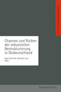Chancen und Risiken der industriellen Restrukturierung in Ostdeutschland: Schriftenreihe der Kommission für die Erforschung. . . neuen Bundesländern ... Wandels in den neuen Bundesländern (KSPW), 1) by Rudi Schmidt