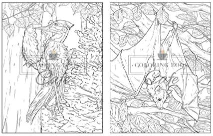 100 Wildlife Scenes: An Adult Coloring Book Featuring 100 Most Beautiful Wildlife Scenes with Animals, Birds and Flowers from Oceans, Jungles, Forests and Savannas by Coloring Book Cafe