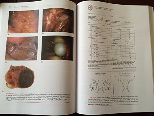 Obstetrics and Gynecology by Charles R. B. Beckmann
