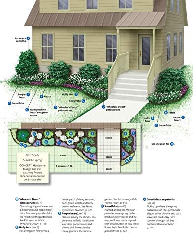 Texas Home Landscaping, 3rd Edition: 48 Landscape Designs, 200+ Plants & Flowers Best Suited to the Region (Creative Homeowner) Gardening Ideas, Plans, and Outdoor DIY Projects for TX and OK by Greg Grant