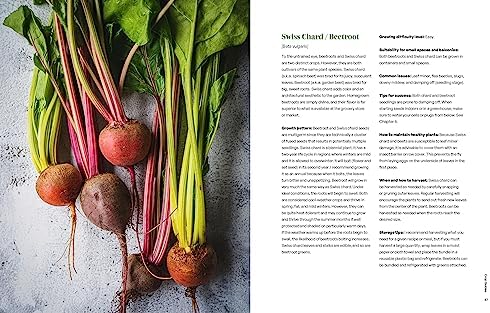 Seed to Table: A Seasonal Guide to Organically Growing, Cooking, and Preserving Food at Home (Urban Gardening, How to Start a Vegetable Garden) by Luay Ghafari