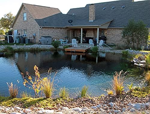 How to Build a Natural Swimming Pool by Wolfram Kircher