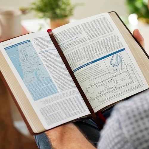 LSB, MacArthur Study Bible, Hardcover, Comfort Print: Unleashing God's Truth One Verse at a Time (Holy Bible, Legacy Standard Bible) by John F. MacArthur