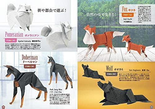 The new generation supreme origami by 山口真