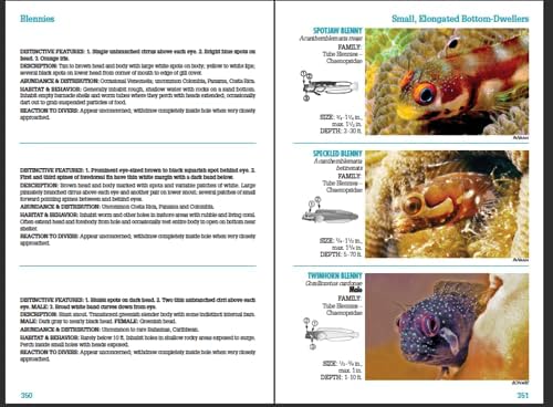 Reef Fish Identification - Florida Caribbean Bahamas - 4th Edition (Reef Set) by Paul Humann