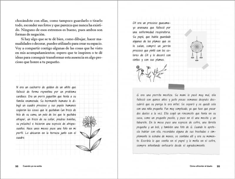 Cuando ya no estás. Cómo superar la muerte de tu animal de compañía / When You Are Gone (Spanish Edition) by Laura Vidal