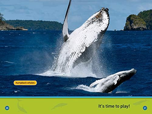 Whales (National Geographic Kids Readers, Pre-Reader) by Jennifer Szymanski