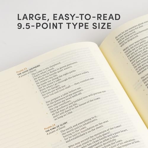 CSB Notetaking Bible, Large Print Hosanna Revival Edition, Blush Cloth Over Board, Black Letter, Single-Column, Journaling Space, Reading Plan, Easy-to-Read Bible Serif Type by CSB Bibles by Holman
