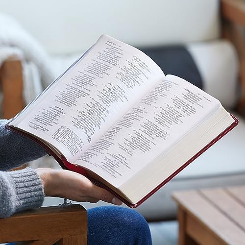 NRSV Large Print Standard Catholic Bible, Red Leathersoft (Comfort Print, Holy Bible, Complete Catholic Bible, NRSV CE): Holy Bible by Catholic Bible Press