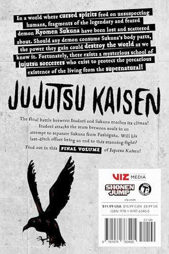 Jujutsu Kaisen, Vol. 30 by Gege Akutami