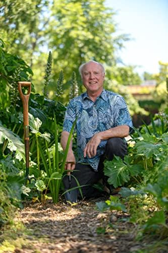 Understanding Roots: Discover How to Make Your Garden Flourish by Robert Kourik