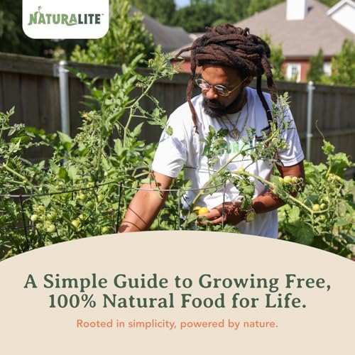 The More We Grow The More We'll See Everything We Need Is Free: A Simple Guide to Growing Free, 100% Natural Food for Life by Jabez el Israel