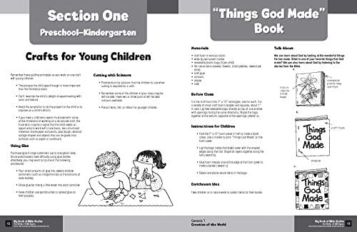 Big Book of Bible Crafts for Kids of All Ages by David C Cook