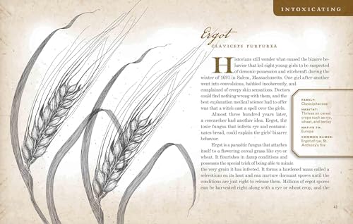 Wicked Plants: The Weed That Killed Lincoln's Mother and Other Botanical Atrocities by Amy Stewart