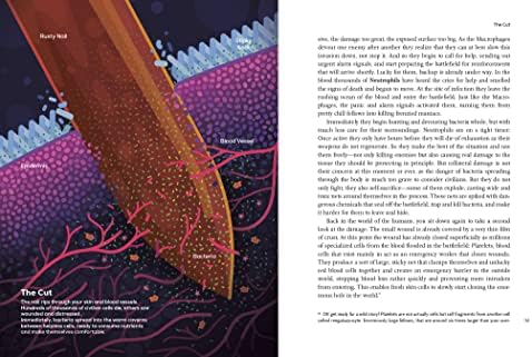 Immune: A Journey into the Mysterious System That Keeps You Alive by Philipp Dettmer