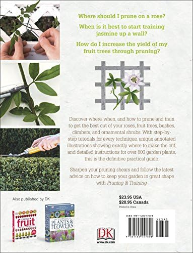 Pruning and Training, Revised New Edition: What, When, and How to Prune by DK
