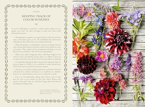 The Gardener's Mindset: A Gardening Book: Connecting with Nature Through Plants by Stephen Orr