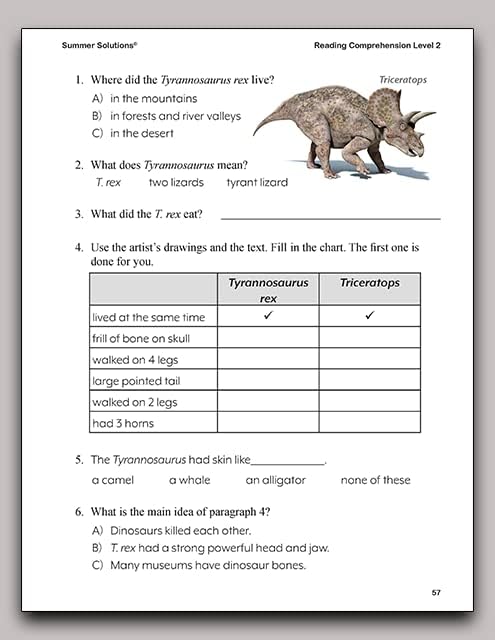 Summer Solutions Reading Comprehension Level 2 by SUMMER SOLUTIONS. MINUTES A DAY - MASTERY FOR A LIFETIME!