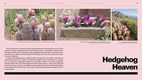 The Gardener's Guide to Cactus: The 100 Best Paddles, Barrels, Columns, and Globes by Scott Calhoun
