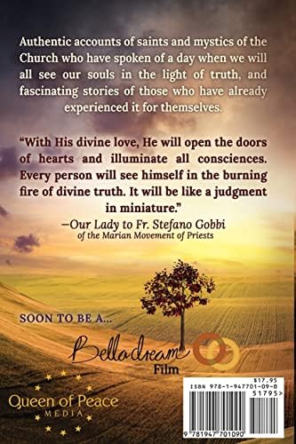 The Warning: Testimonies and Prophecies of the Illumination of Conscience by Christine Watkins