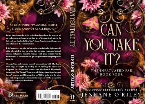 Can You Take It? (Standard Edition) (Infatuated Fae, 4) by Jeneane O'Riley