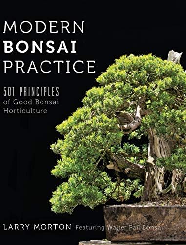 Modern Bonsai Practice: 501 Principles of Good Bonsai Horticulture by Larry W Morton