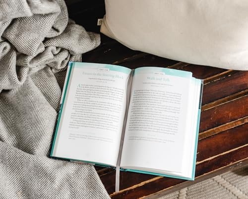 Celebrate Recovery 365 Daily Devotional, 35th Anniversary Edition: Healing from Hurts, Habits, and Hang-Ups (365 Devotions for Strength and Encouragement on the Road to Addiction Recovery) by John Baker