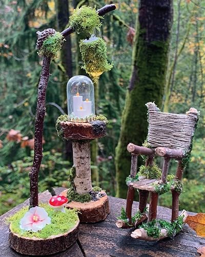 Making Fairy Garden Accessories: 22 Enchanting Projects for Your Backyard (Fox Chapel Publishing) Craft Fairy Houses, a Gnome Garden, a Swing, a Wishing Well, and More, Plus Learn How to Add Lighting by Anna-Marie Fahmy
