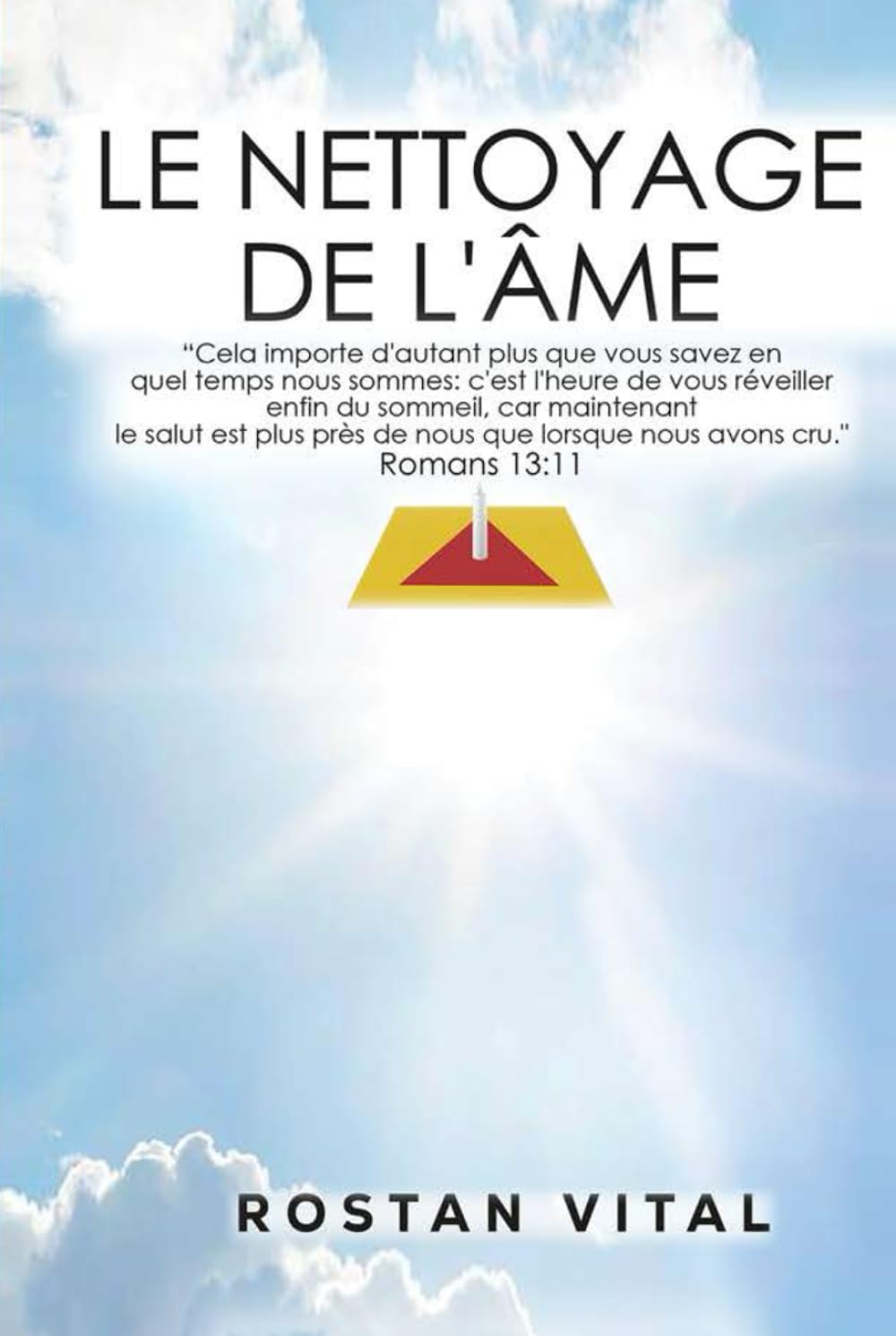 LE NETTOYAGE DE LAME (French Edition) by Rostan Vital