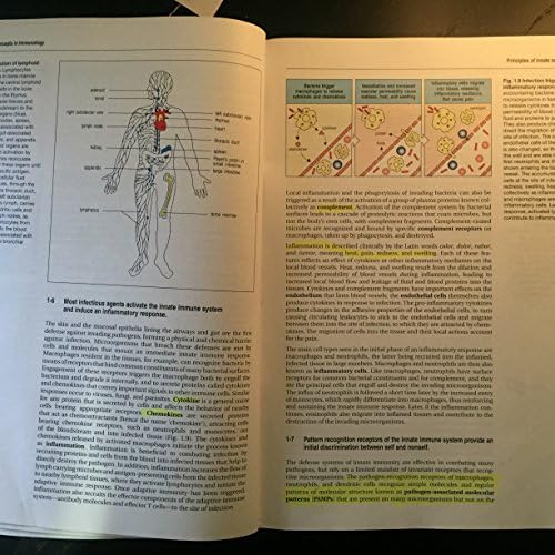 Janeway's Immunobiology by Kenneth Murphy