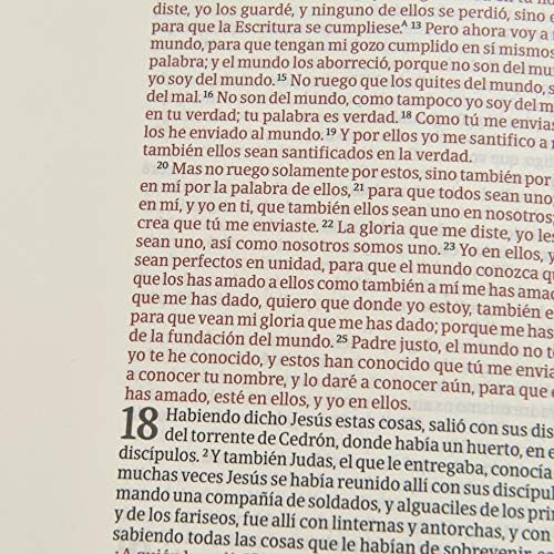 Biblia Reina Valera 1960 de apuntes. Letra grande, piel fabricada y mosaico crema y azul / NoteTaking Bible RVR 1960. Large print, Cloth over Board, Cream and Blue (Spanish Edition) by B&H Español Editorial Staff