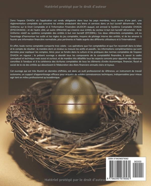LES PRATIQUES DES RÉFÉRENTIELS COMPTABLES SYCEBNL ET SYSCOHADA RÉVISÉ EN VIGUEUR DANS L’ESPACE OHADA (French Edition) by DIEUDONNE MARTIN NDENE