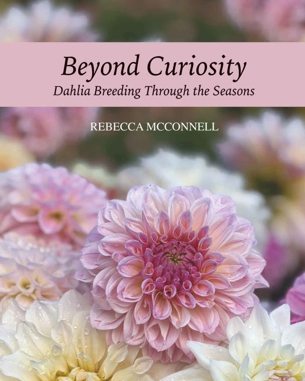 Beyond Curiosity: Dahlia Breeding Through the Seasons by Rebecca McConnell