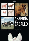 Anatomía del caballo (Spanish Edition) by Anke Rüsbüldt