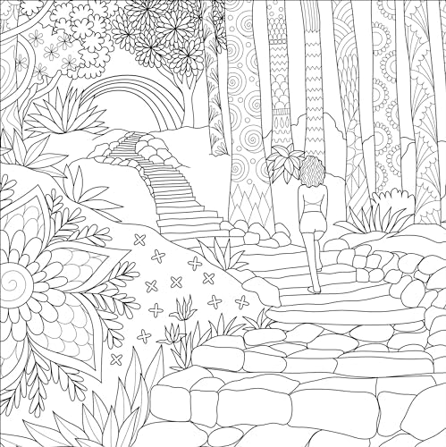 Boho Dreams Adult Coloring Book (31 one-sided designs on thick paper) (Artist's Coloring Books) by Peter Pauper Presss