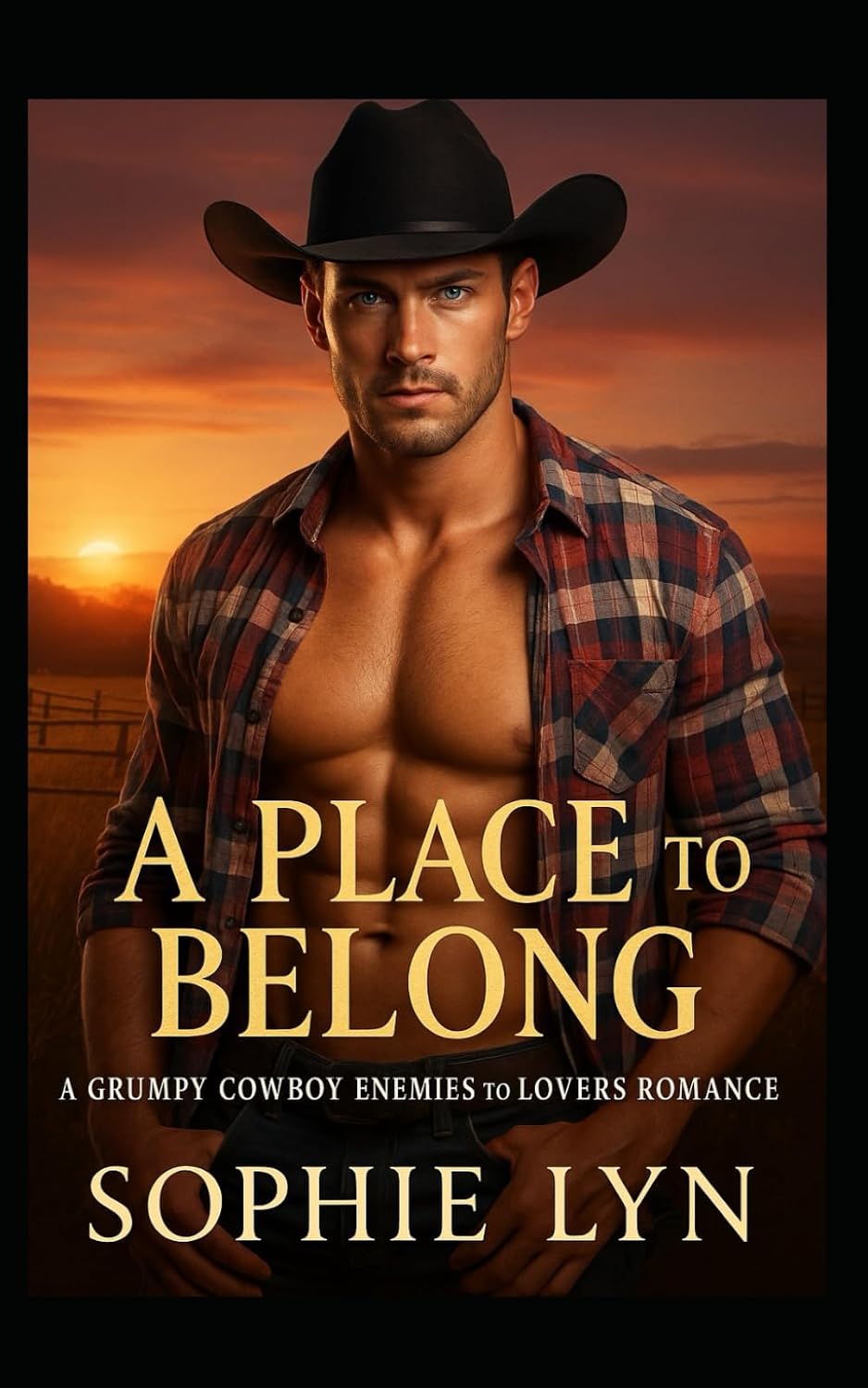 A Place to Belong: A Grumpy Cowboy, Enemies to Lovers Romance by Sophie Lyn