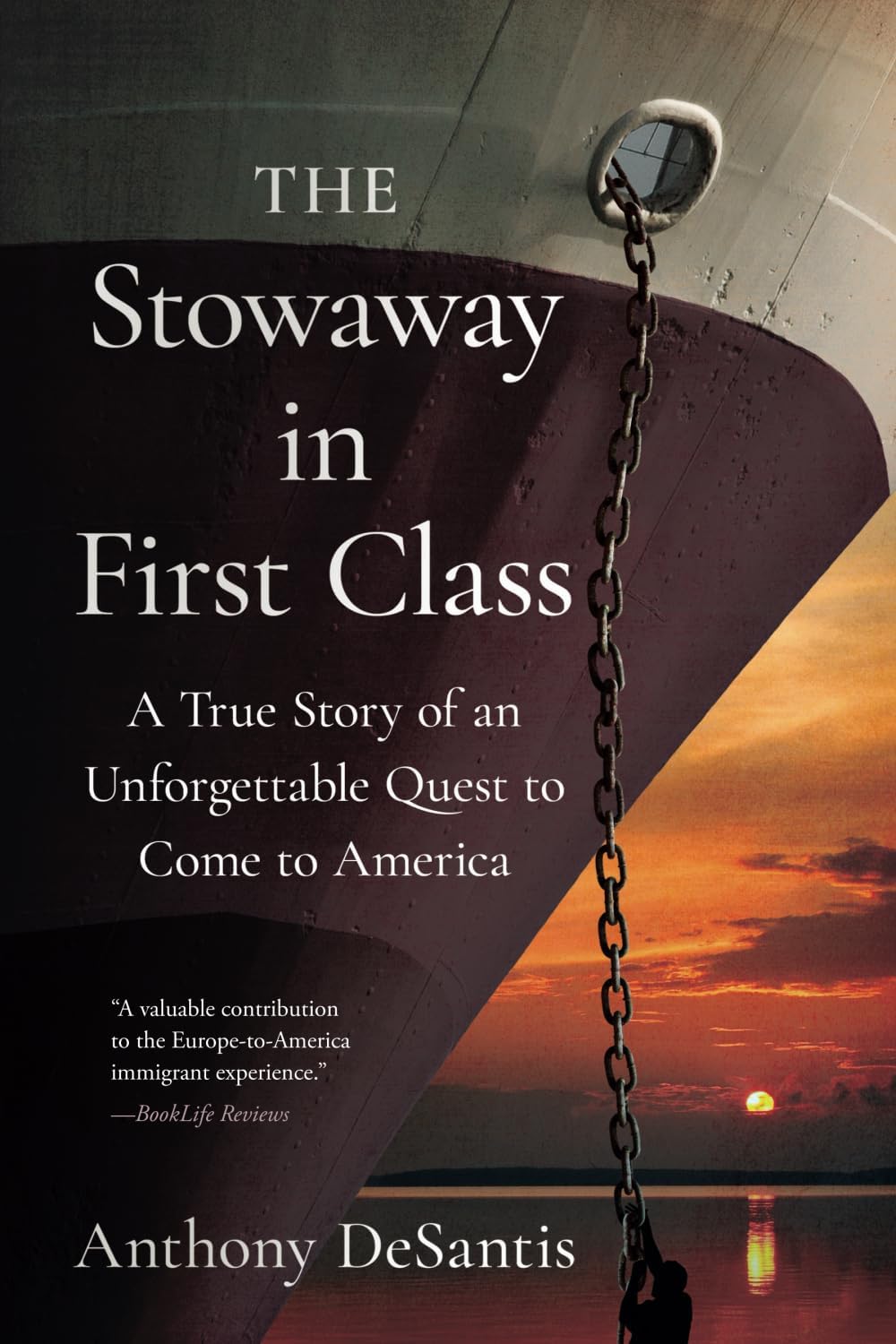 The Stowaway in First Class: A True Story of an Unforgettable Quest to Come to America by Anthony DeSantis
