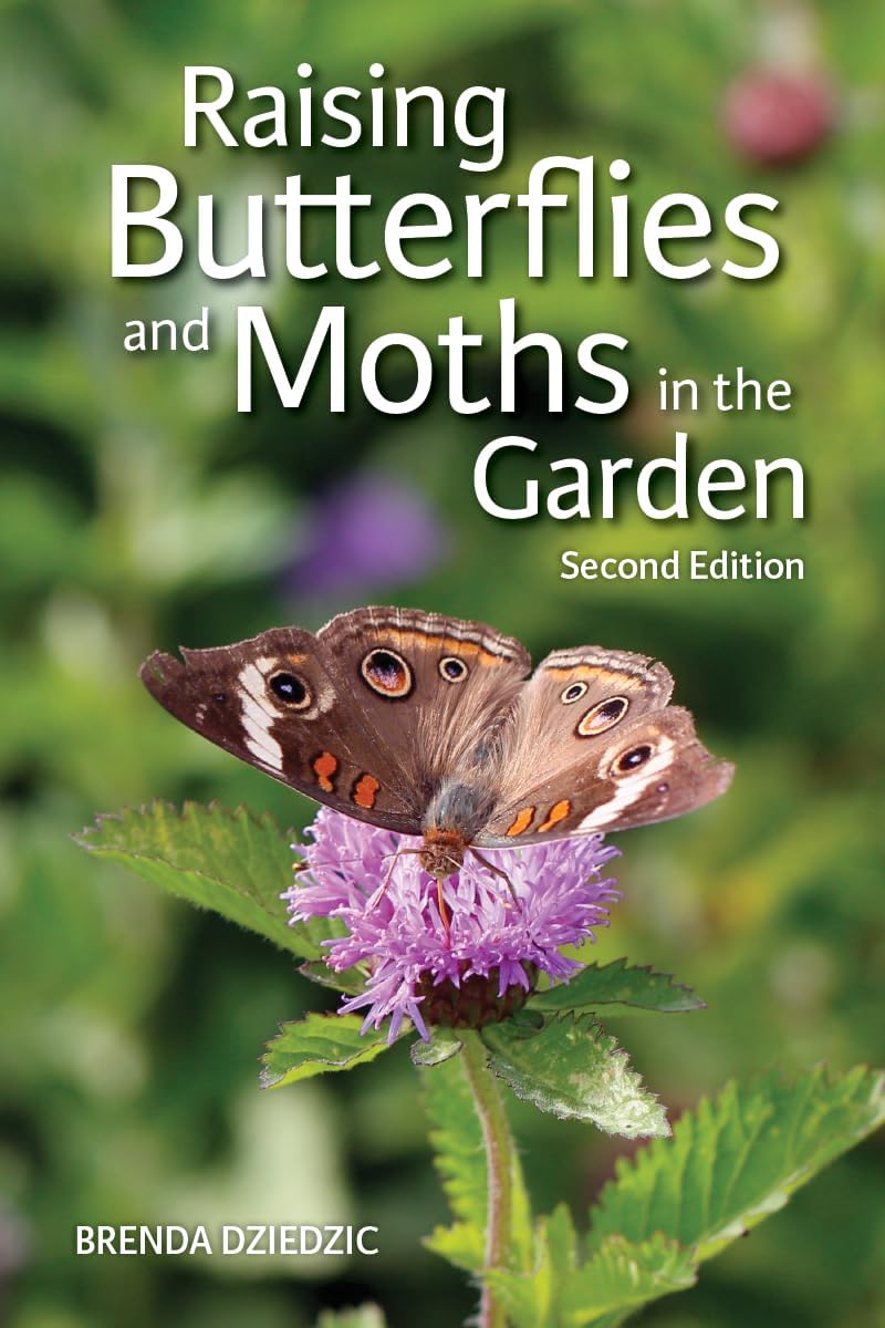 Raising Butterflies and Moths in the Garden by Brenda Dziedzic