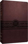 MEV Bible Personal Size Large Print Cherry Brown: Modern English Version by Passio
