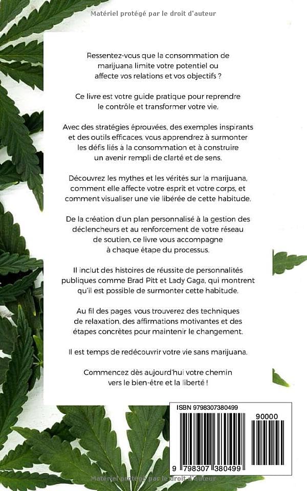 Arrêter le Cannabis : Tu Peux (French Edition) by VC Brothers