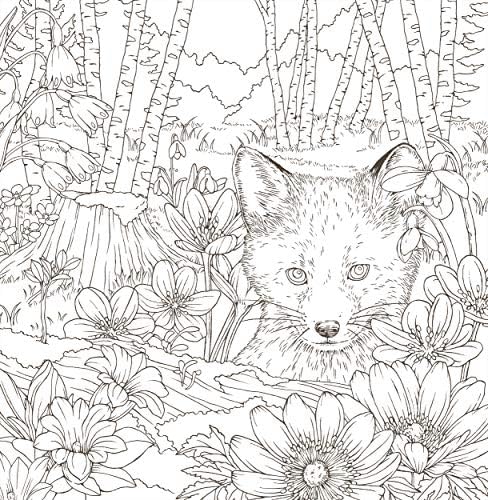 愛らしい動物たちのシンフォニー ~美しい自然に癒されるぬりえ~ Symphony of Cute Animals(Coloring Book) by Egusa Kanoko